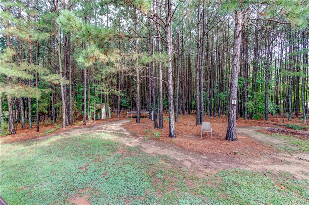 Wild Pine - Residential