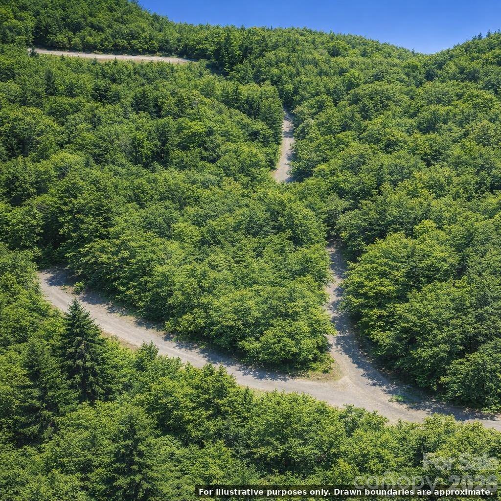 Lot 124 Trellis Drive