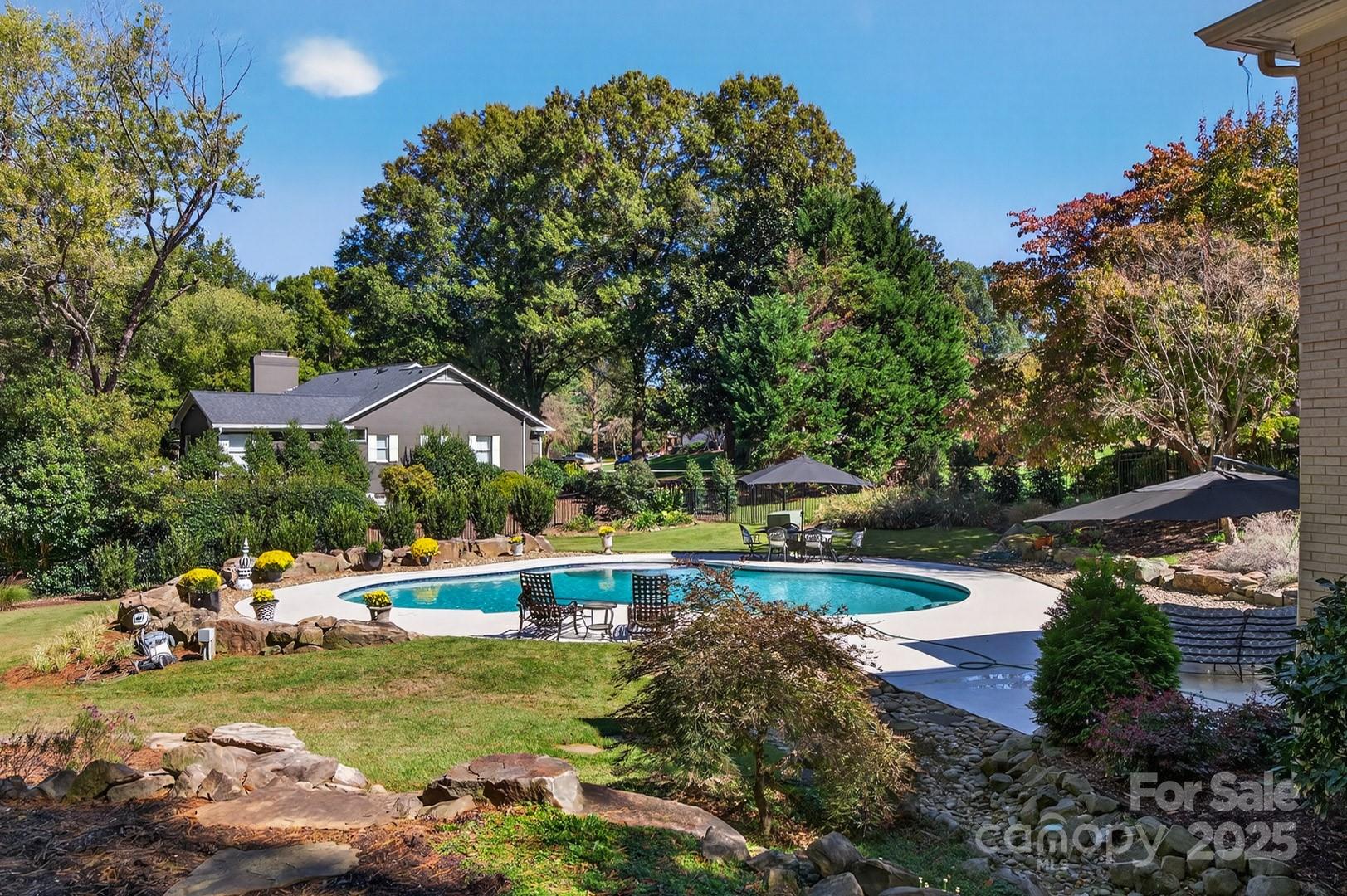 Buena Vista - Residential