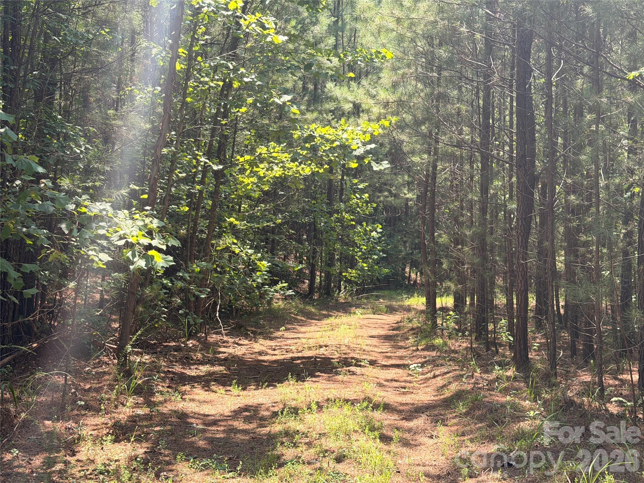 000 Thompson Lake Road, Rutherfordton, NC, 28139