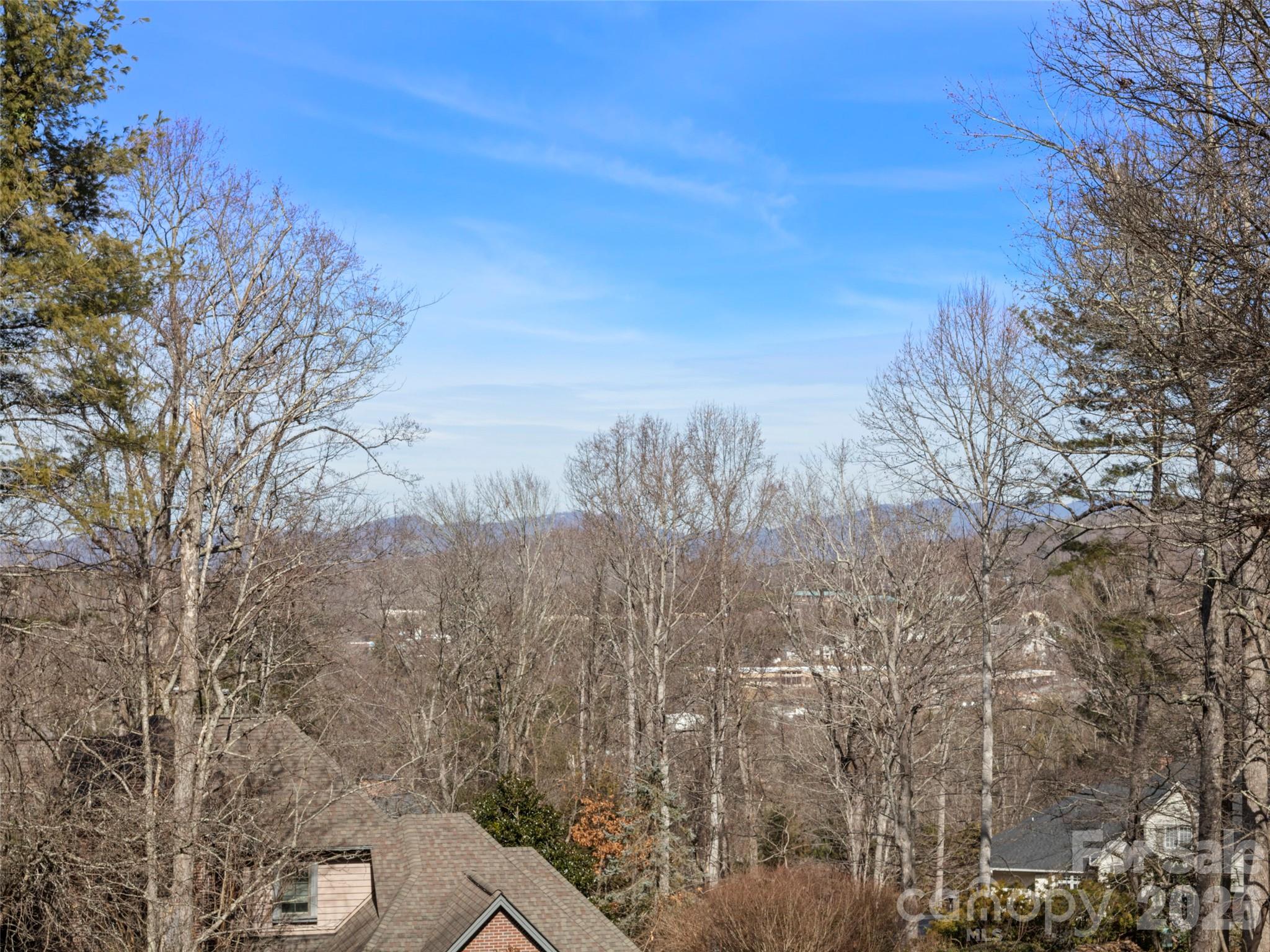 Blake Mountain Estates - Residential