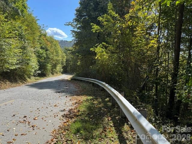 50 Scenic Wolf Ridge Road