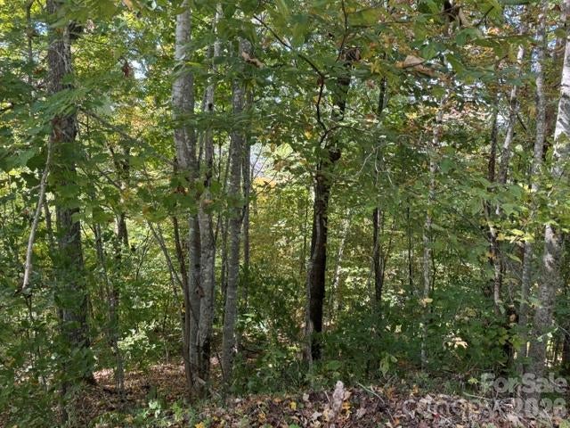 50 Scenic Wolf Ridge Road
