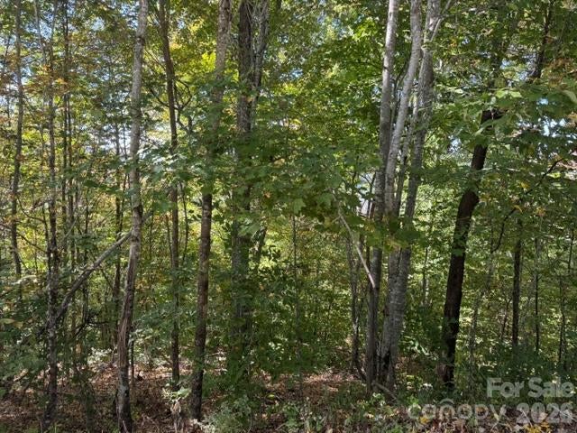 50 Scenic Wolf Ridge Road