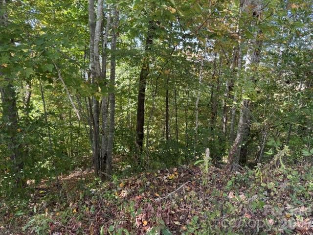 50 Scenic Wolf Ridge Road