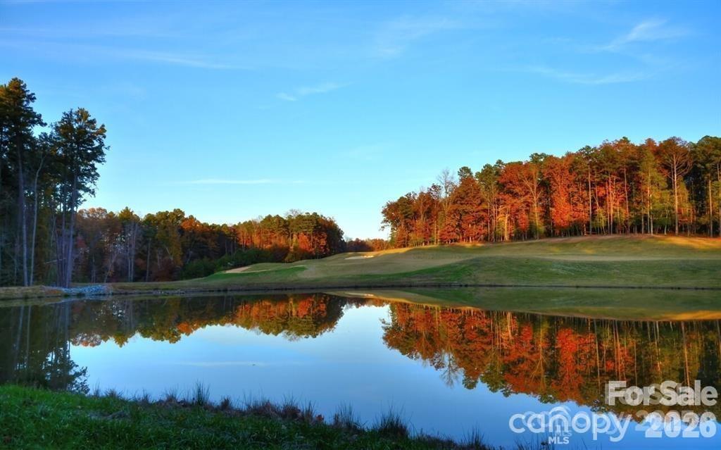 0000 Tradition Drive