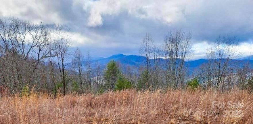 Welcome to your personal sanctuary with 180-degree panoramic, long-range mountain views! This stunning location will not disappoint! You can build your safe-haven in the amazing conservation community of French Broad Crossing! Located in WNC, this peaceful site will enable you to enjoy nature's beauty & take in the fresh air. The topography of this lot offers a lovely easy-build homesite with expansive views all while being near the neighborhood gate for easy access to Asheville, etc! Not only is FBC gated, it's loaded with amenities galore! Enjoy the River Lodge, Fitness Center, Pool, Hot Tub, River Park, Pavilions, & miles of walking/ATV trails! Relax & watch the sunset from the River Lodge, gather with family & friends by the fire, participate in social activities, or absorb nature on the trails. This is THE place to check out of the daily hustle & bustle & take a deep breath! The serenity & peacefulness of the community is profound. Fiber Optic cable has been wired throughout the neighborhood. FBC has a designated medical helicopter landing zone.