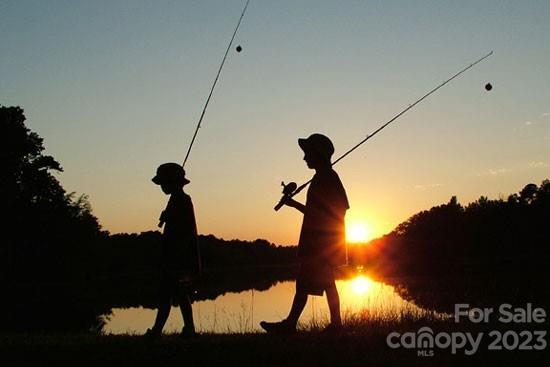 Tillery Tradition - Land