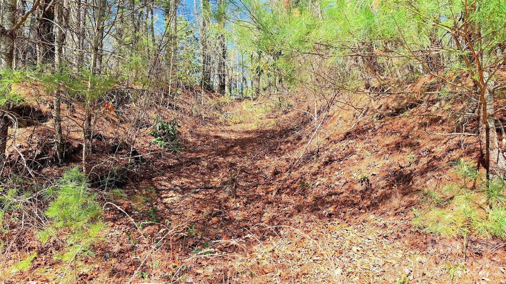 000 Jeter Mountain Road