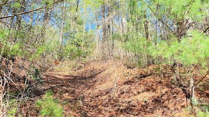 000 Jeter Mountain Road