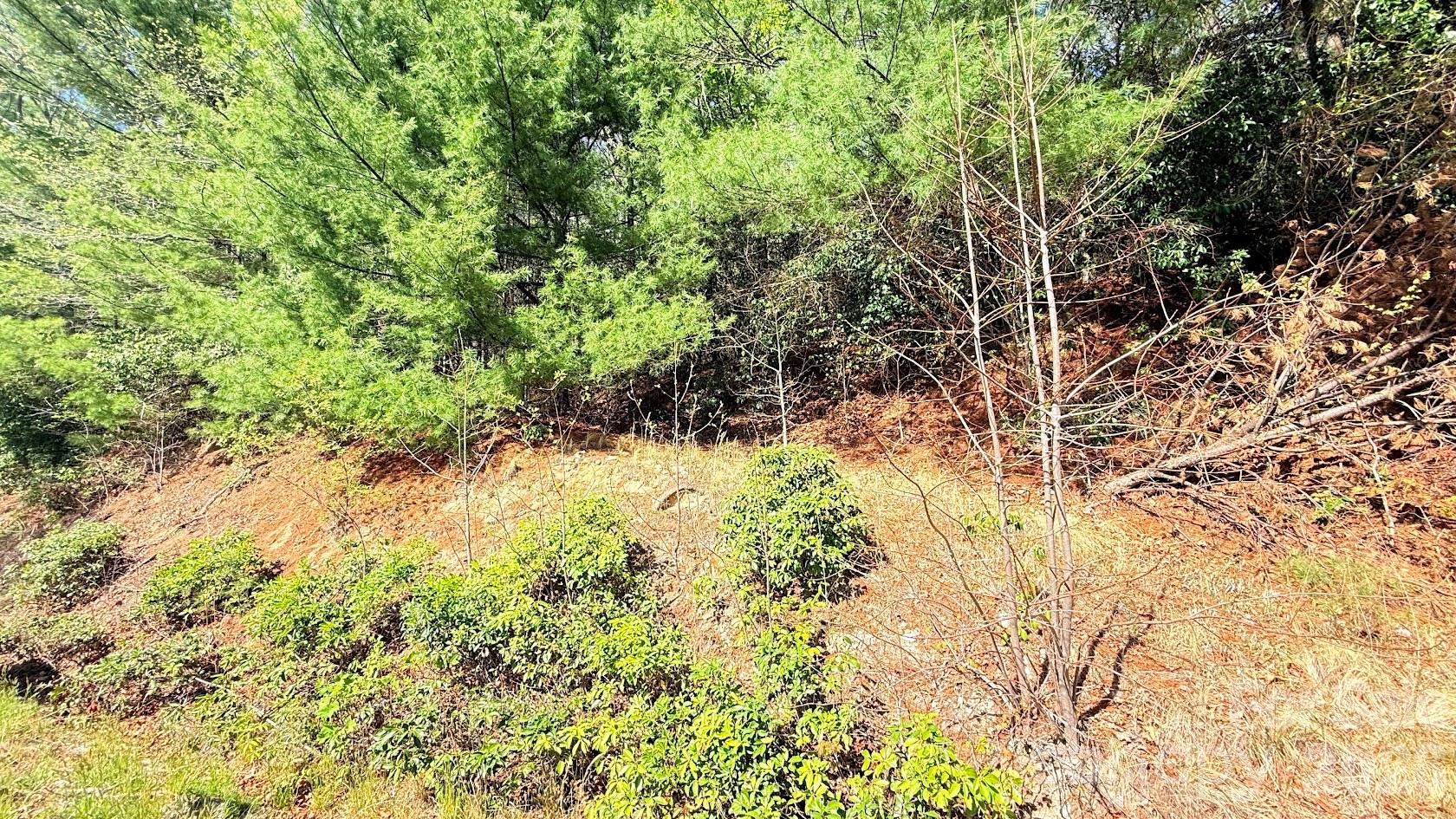 000 Jeter Mountain Road