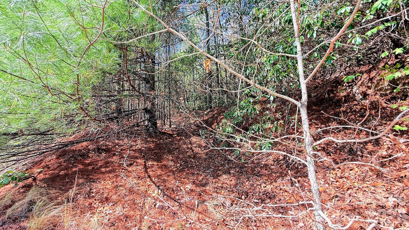 000 Jeter Mountain Road