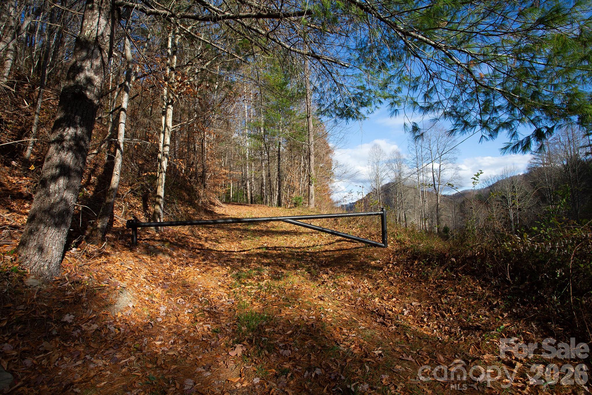 TBD Rector Branch Road 4