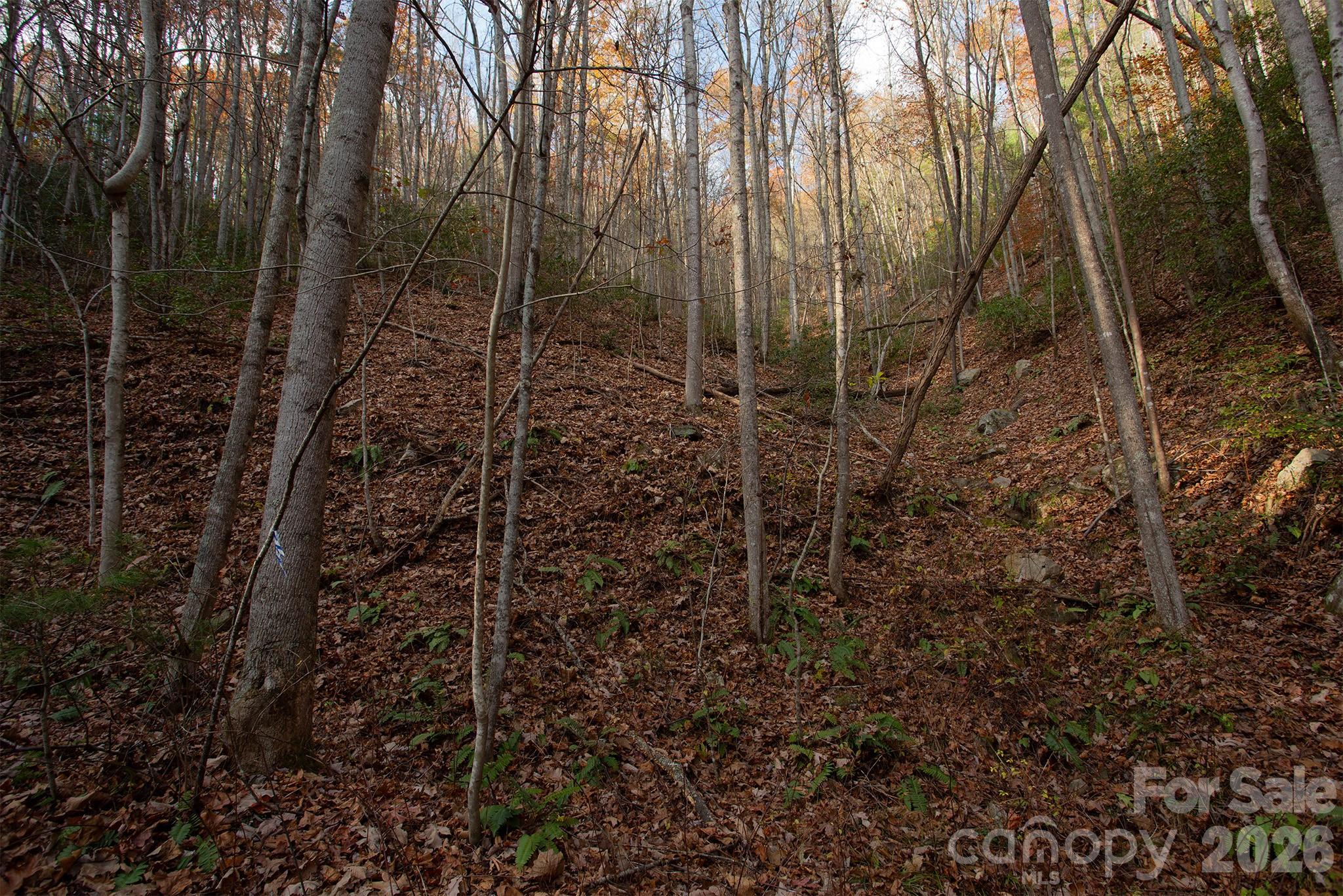 TBD Rector Branch Road 4