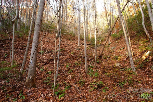 TBD RECTOR BRANCH ROAD # 4, MARSHALL, NC 28743 - Image 661a25386e1fb4e787f6601009e71db2/2605580714