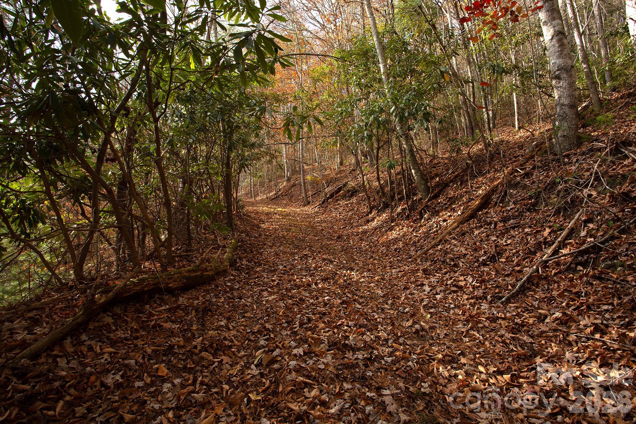 TBD Rector Branch Road 4