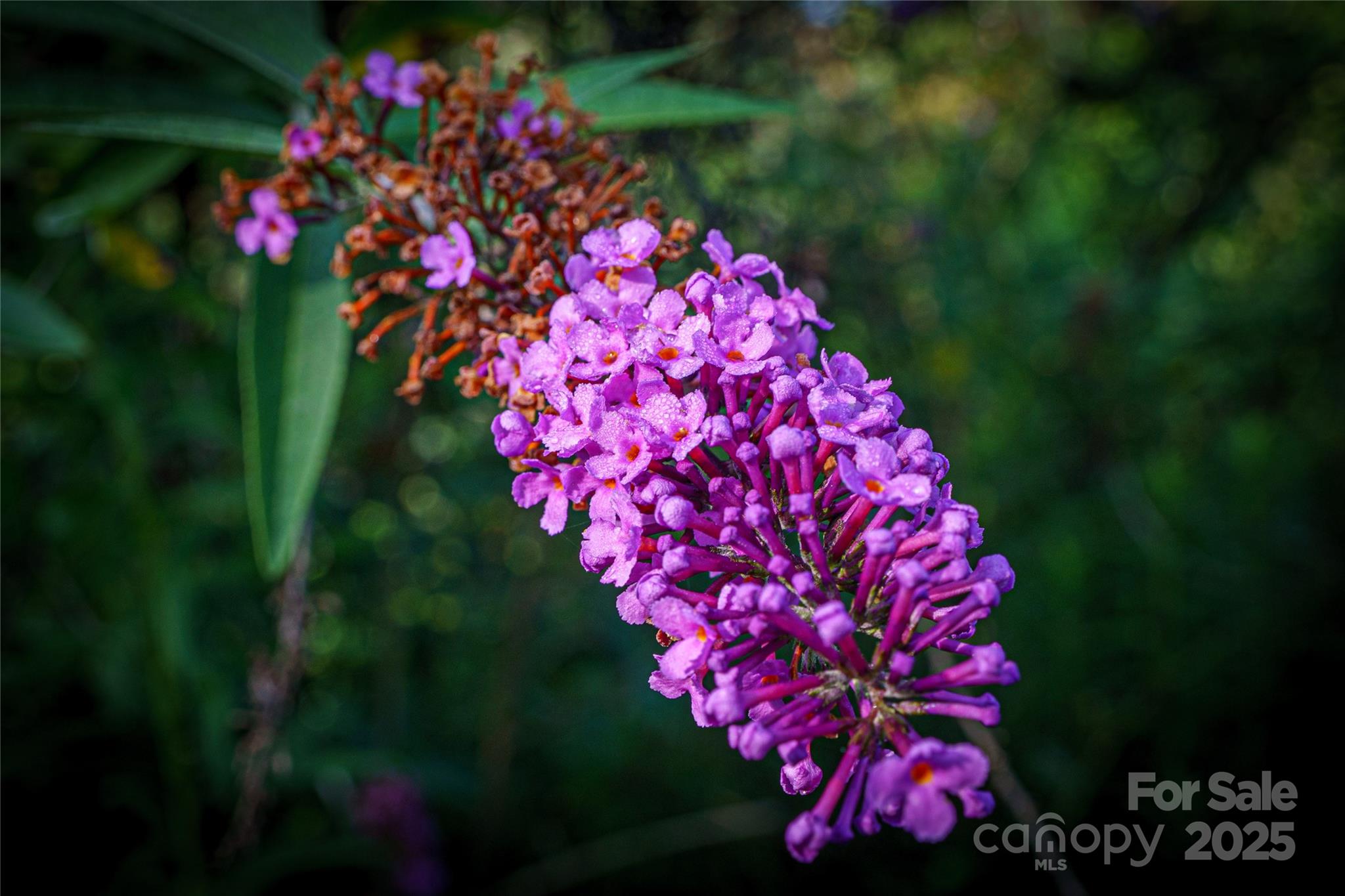 Livingston Farms - Residential