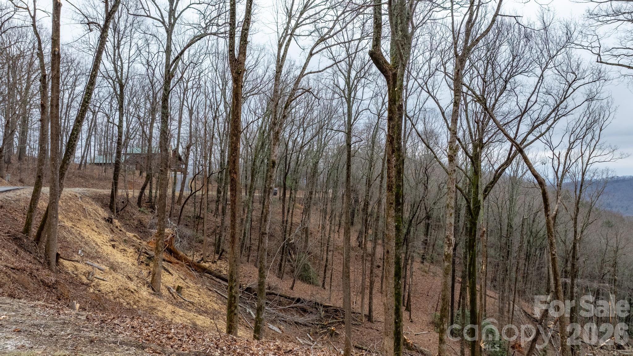 Grants Mountain Estates - Land