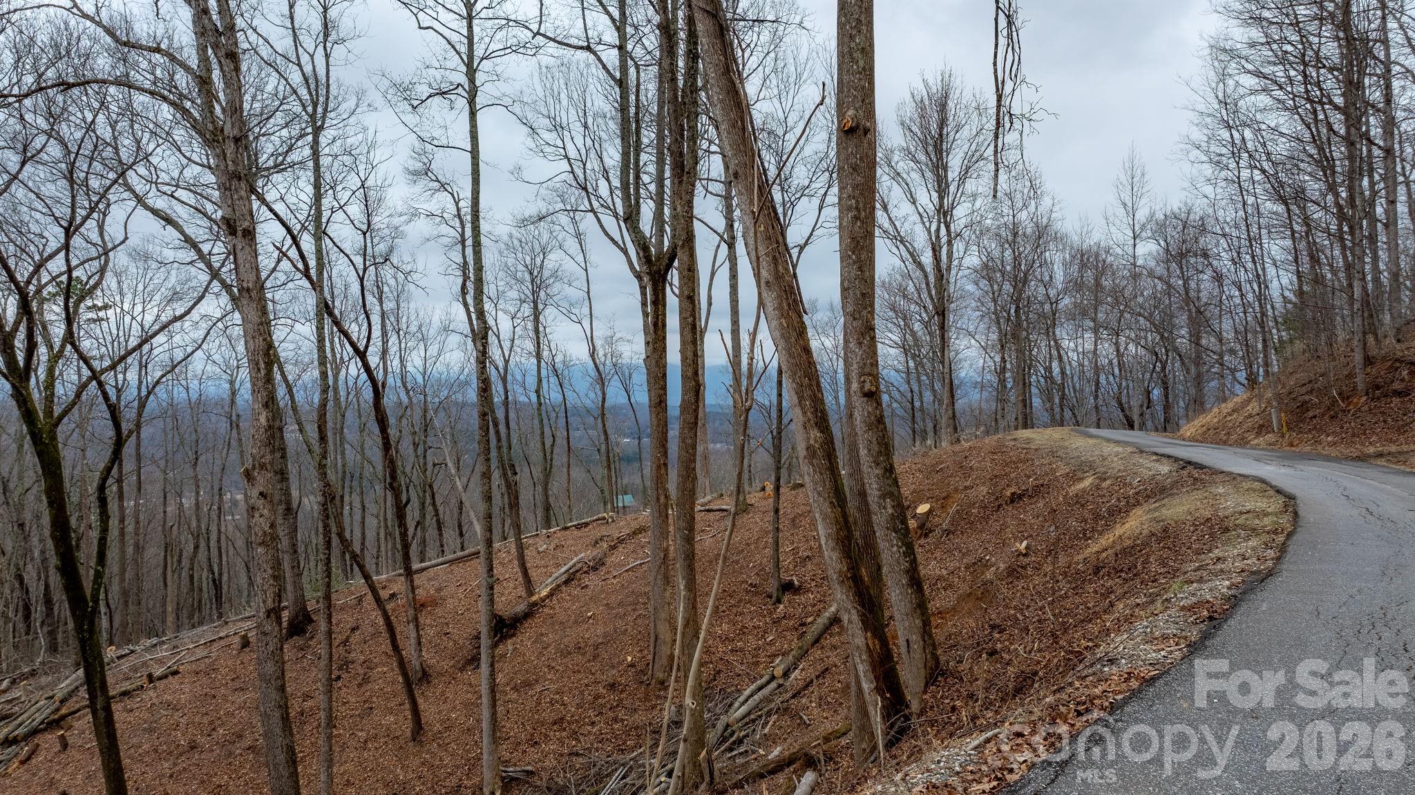 Grants Mountain Estates - Land