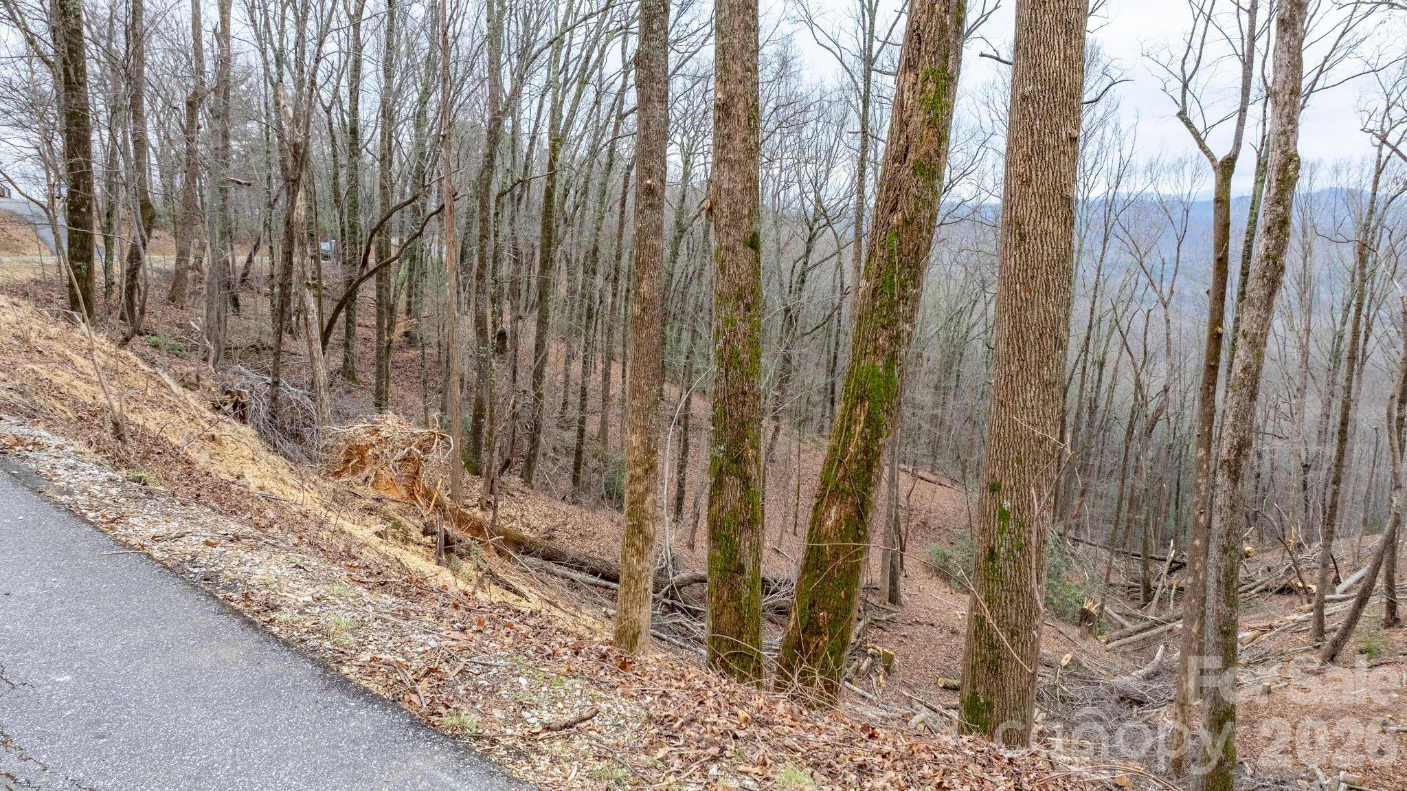 Grants Mountain Estates - Land