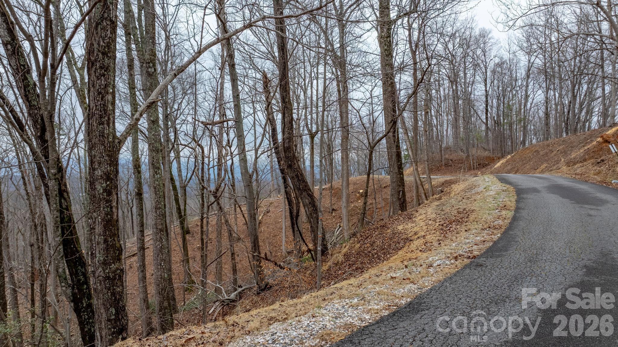 Grants Mountain Estates - Land