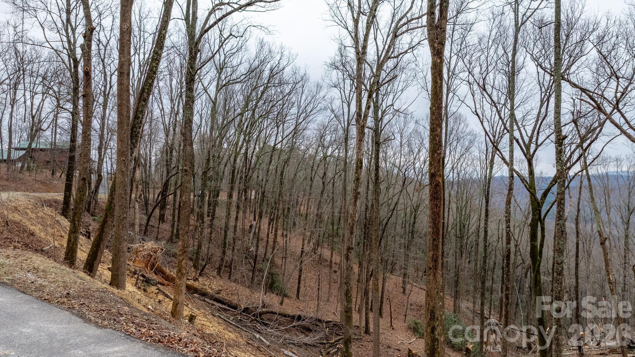 Grants Mountain Estates - Land