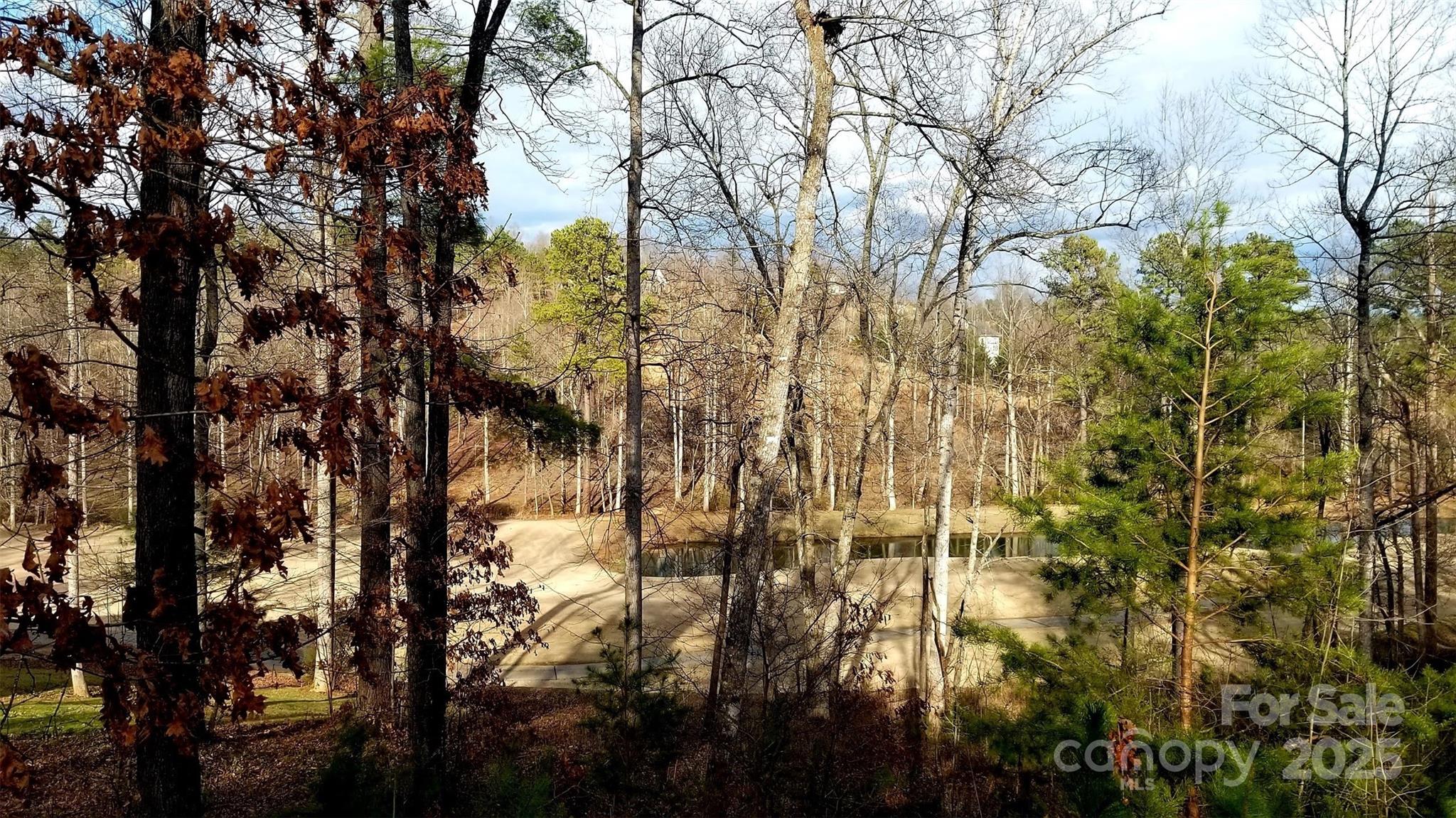 Silver Creek Plantation - Land