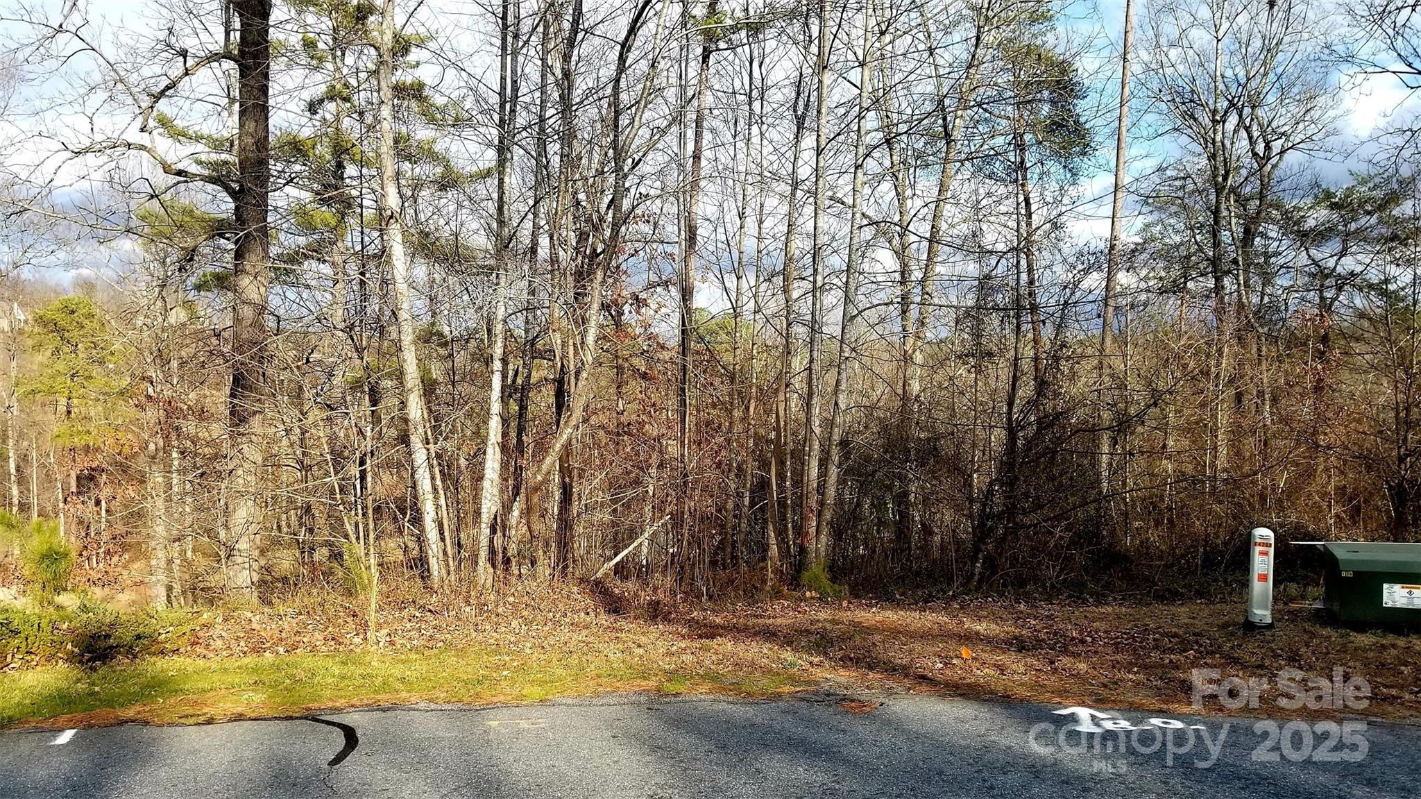 Silver Creek Plantation - Land