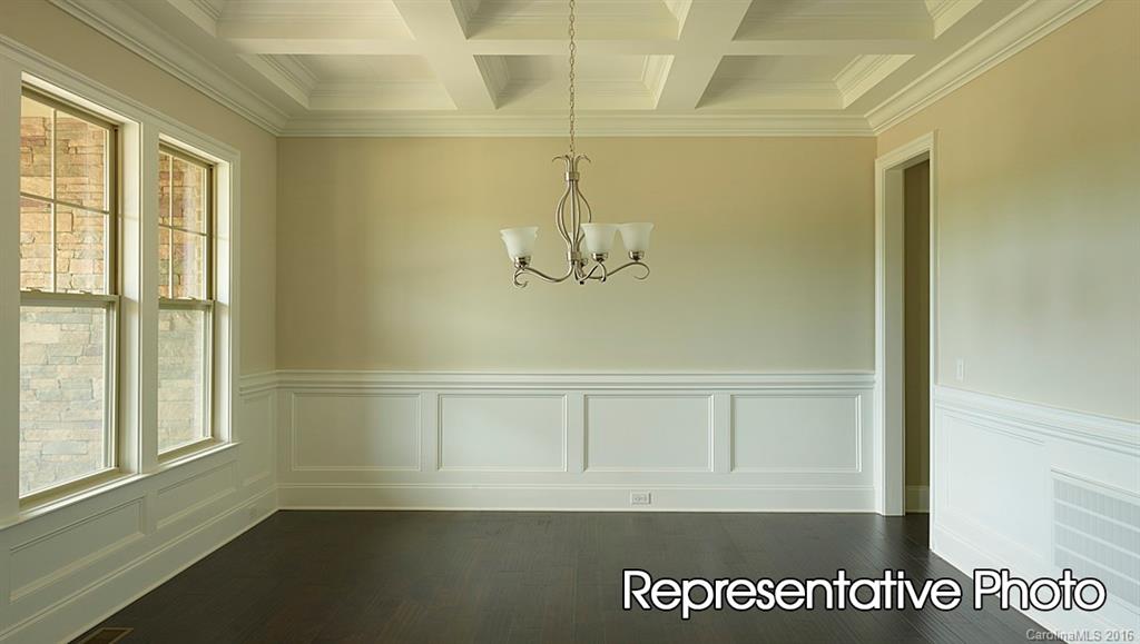 The Manors at Lake Ridge - Residential