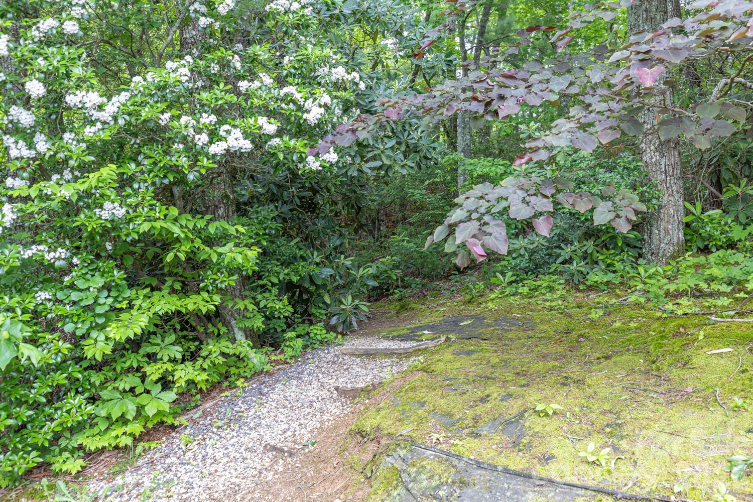 Laurel Woods - Residential