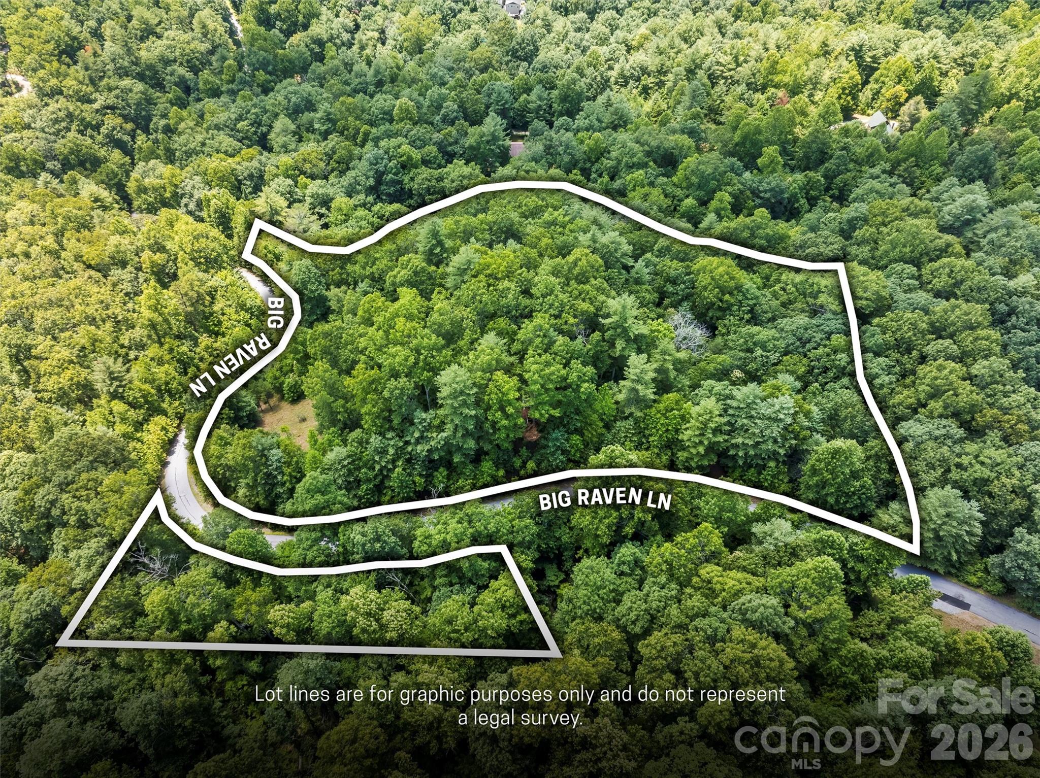 Lot 21 Big Raven Lane, Saluda, NC, 28773