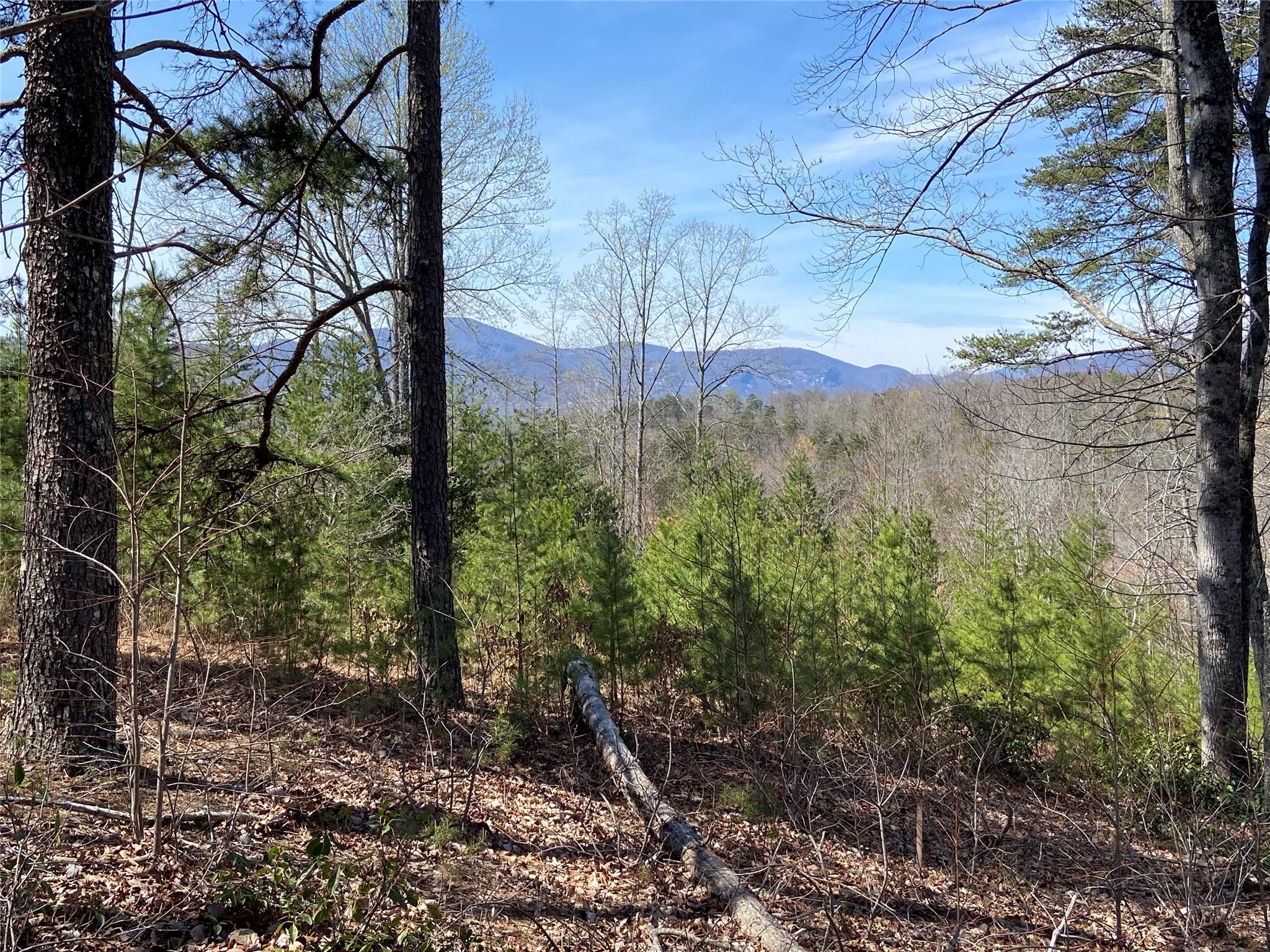 Vista At Bills Mountain - Land