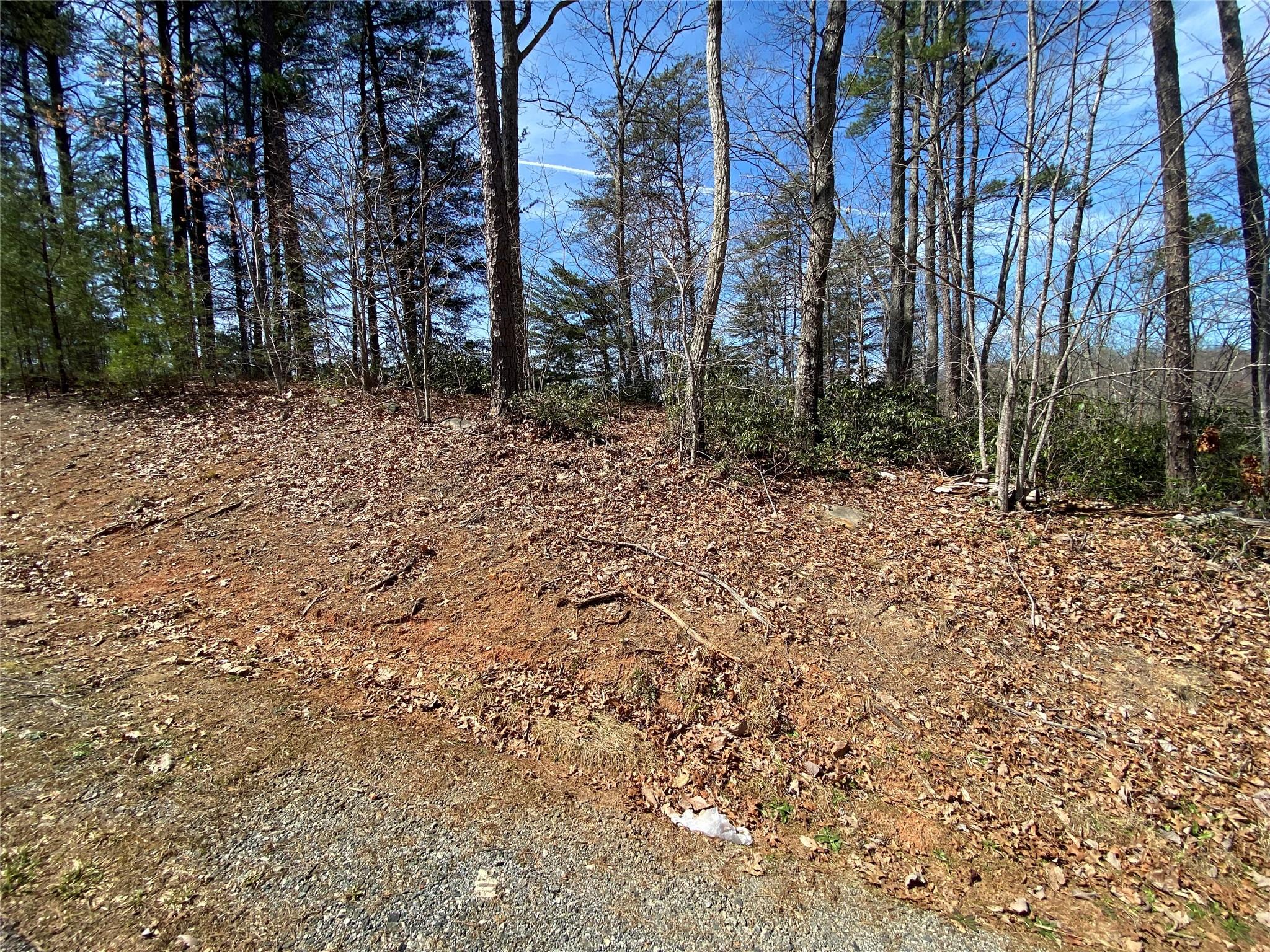 Vista At Bills Mountain - Land