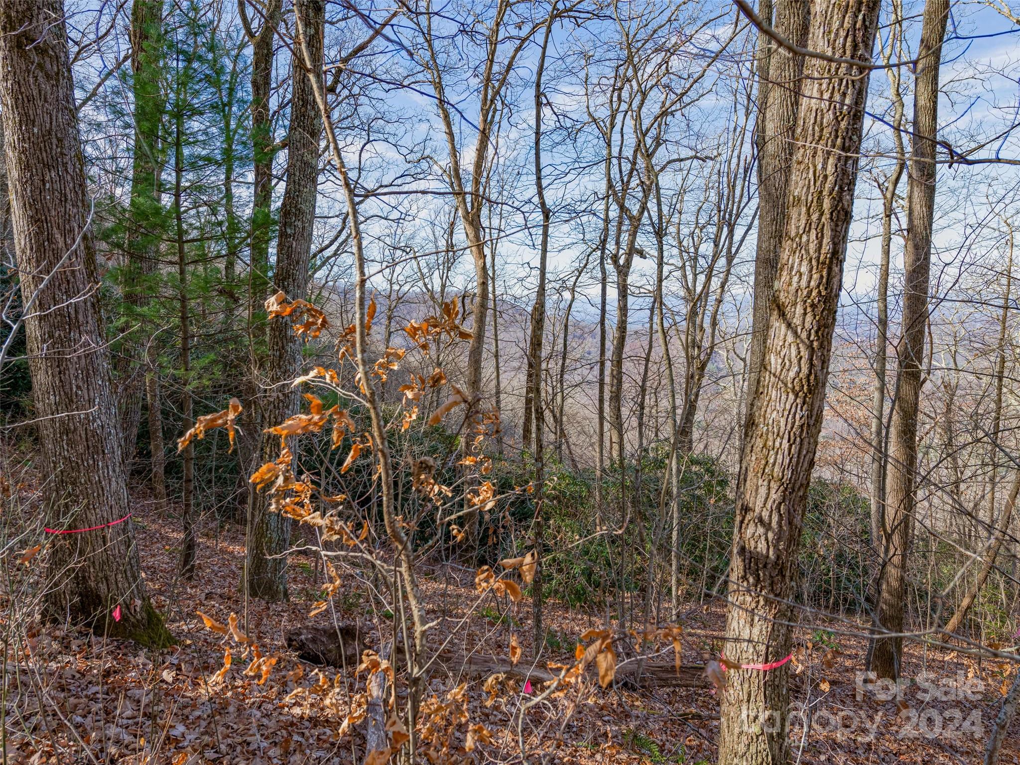 Ridge View Estates - Land