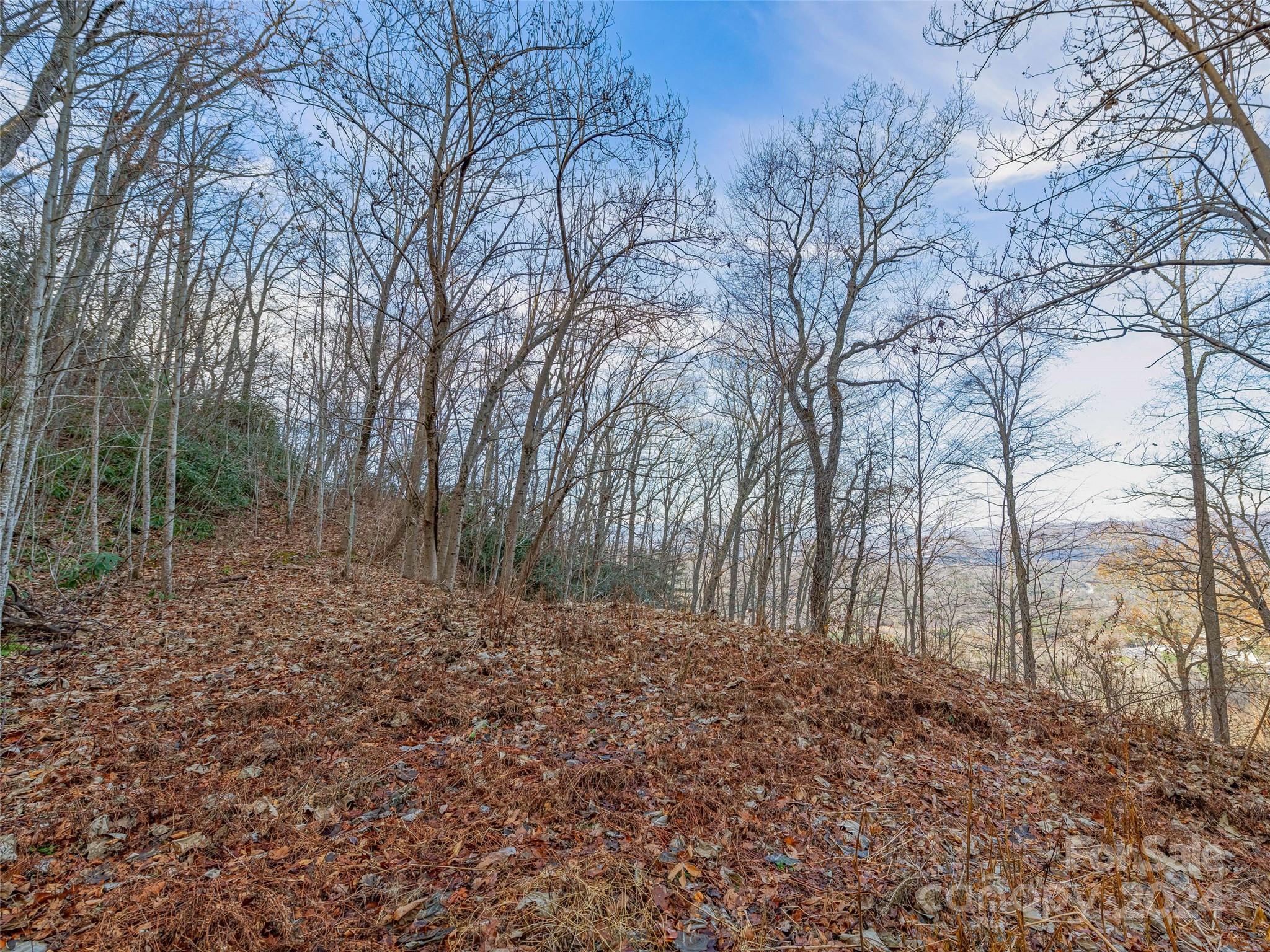 Ridge View Estates - Land