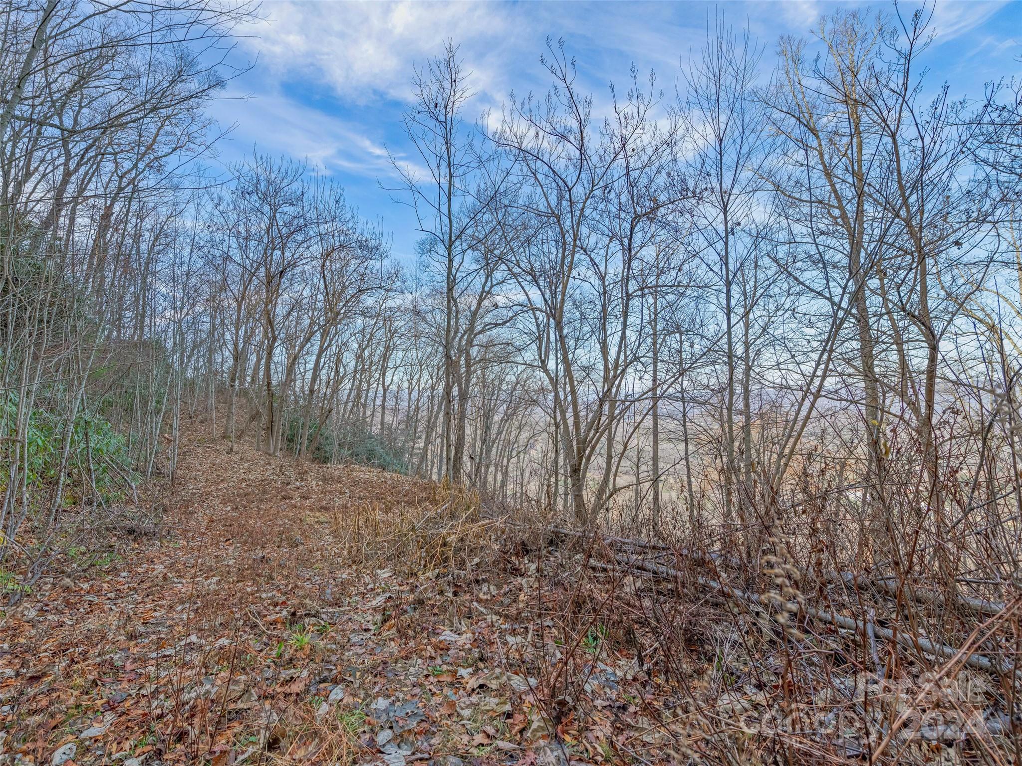 Ridge View Estates - Land