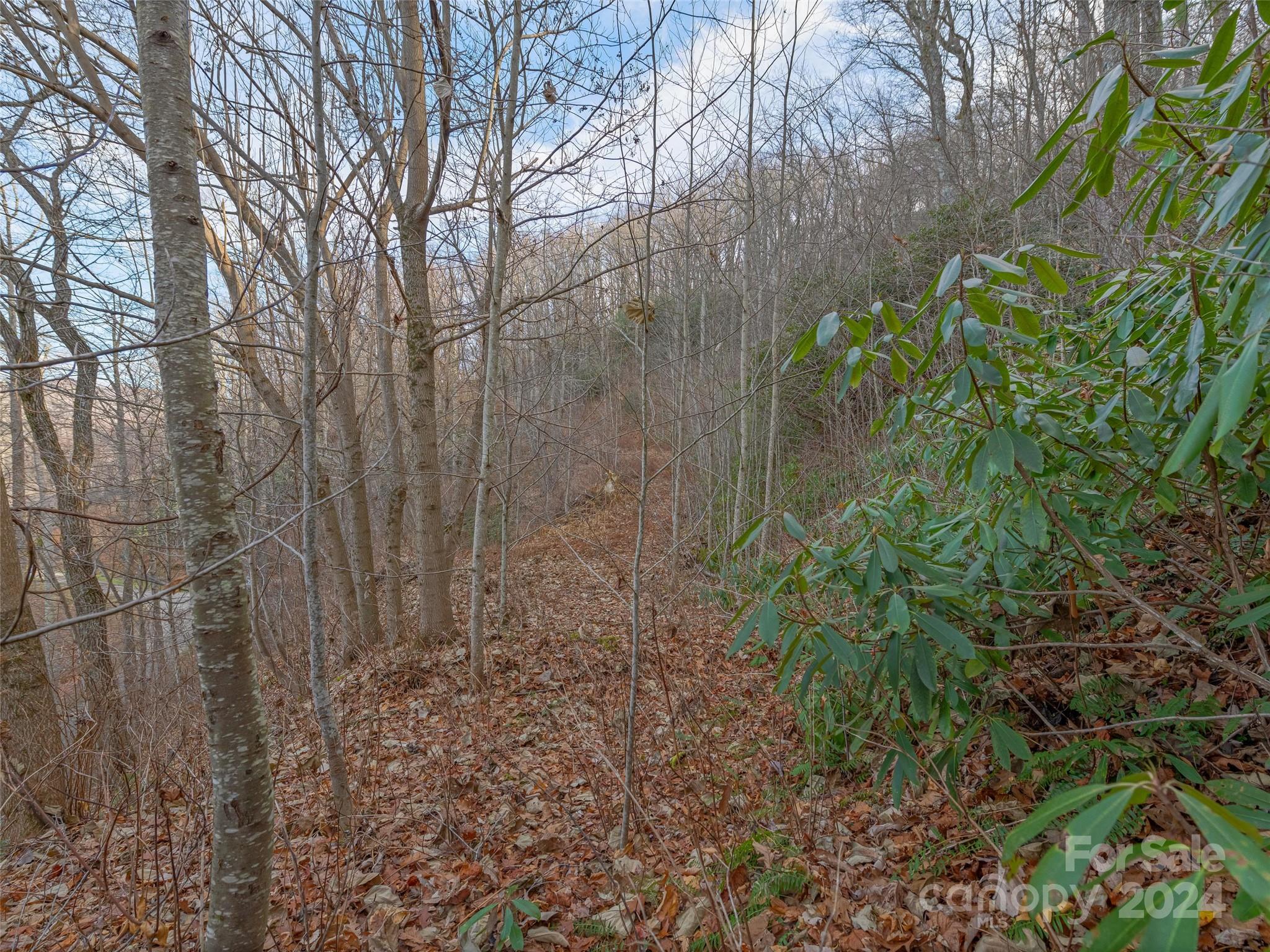 Ridge View Estates - Land