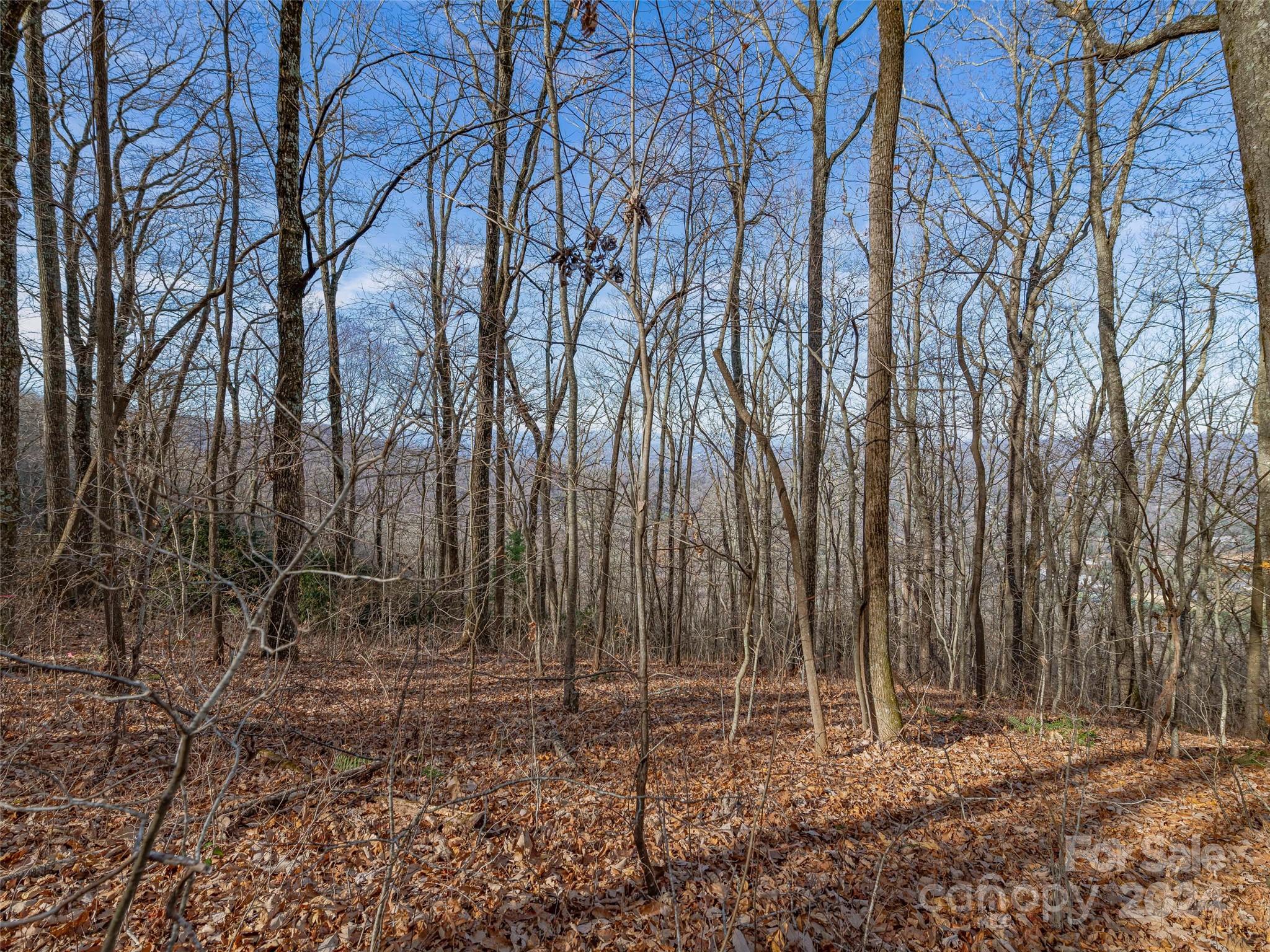 Ridge View Estates - Land