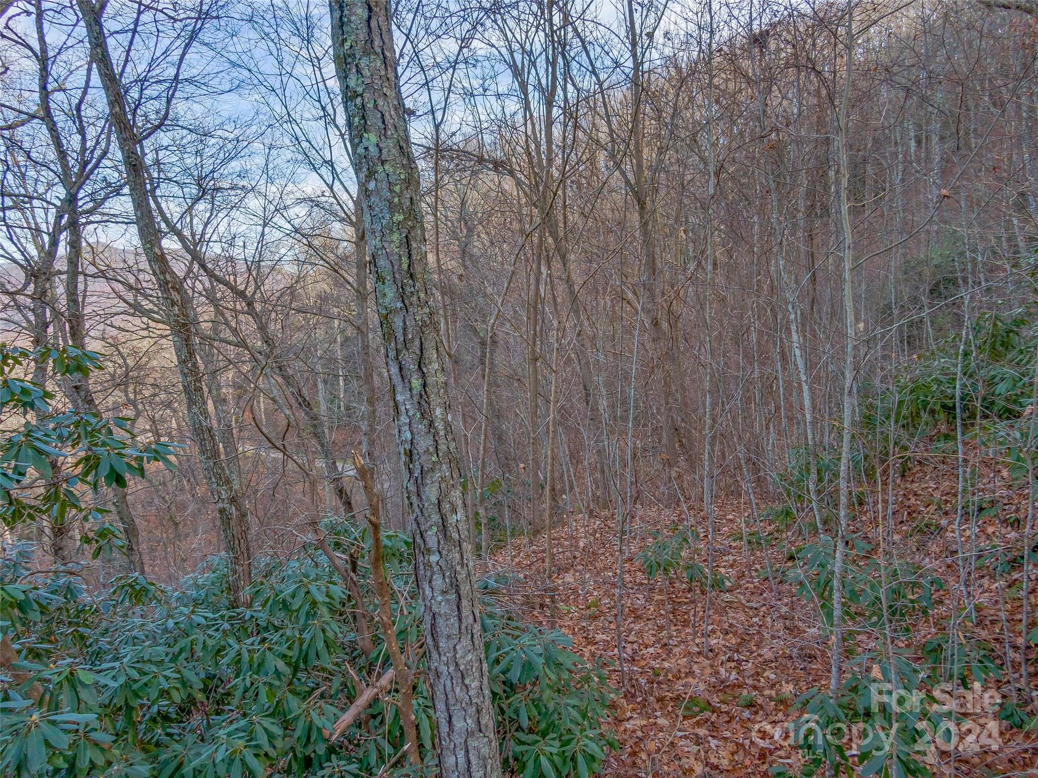 Ridge View Estates - Land