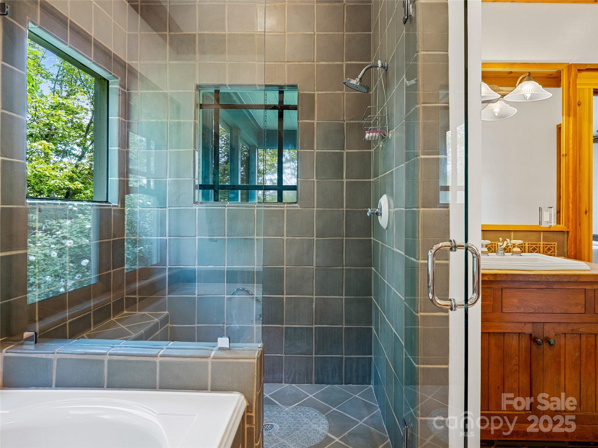 Lake Toxaway Estates - Residential