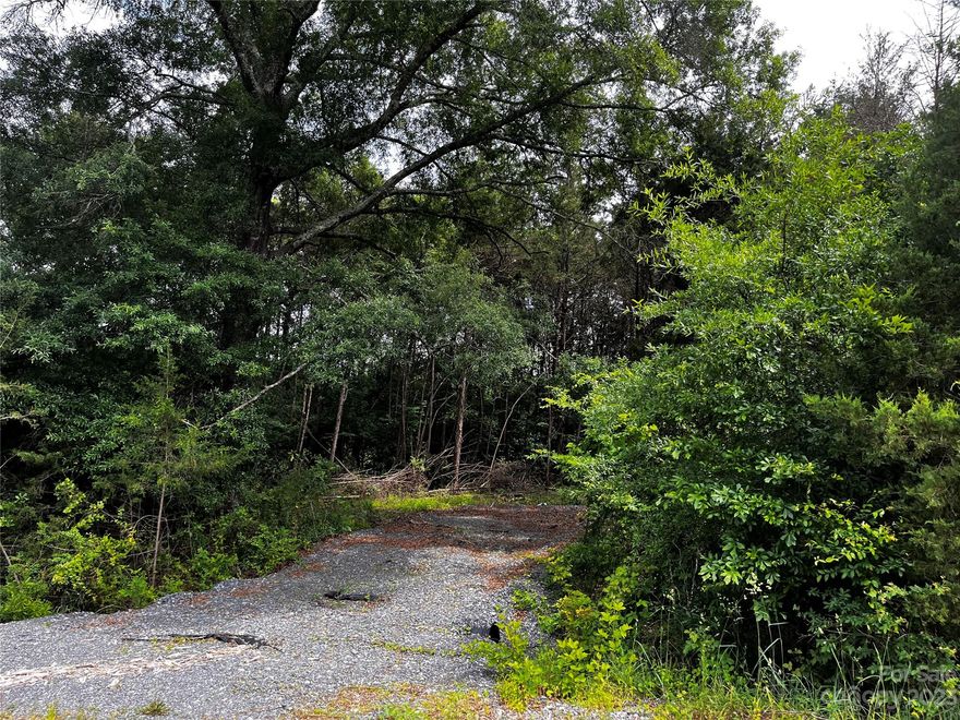 Fulfill your dreams by starting from scratch with a build on this 1 acre of land, now available in a peaceful, up and coming neighborhood. Just minutes away from some of the best schools in the district like Oakdale, Saluda Trail, and South Pointe. Though in a rural area, you are still close to all the entertainment with approximately 10 minutes away from Downtown Rock Hill and quick access to I77. If you enjoy the best of both worlds with seclusion but not too far away, this is for you! If you are worried about a locating a grader, I have already done the work to find one and have a quote to clear and burn shrubs on site!!!