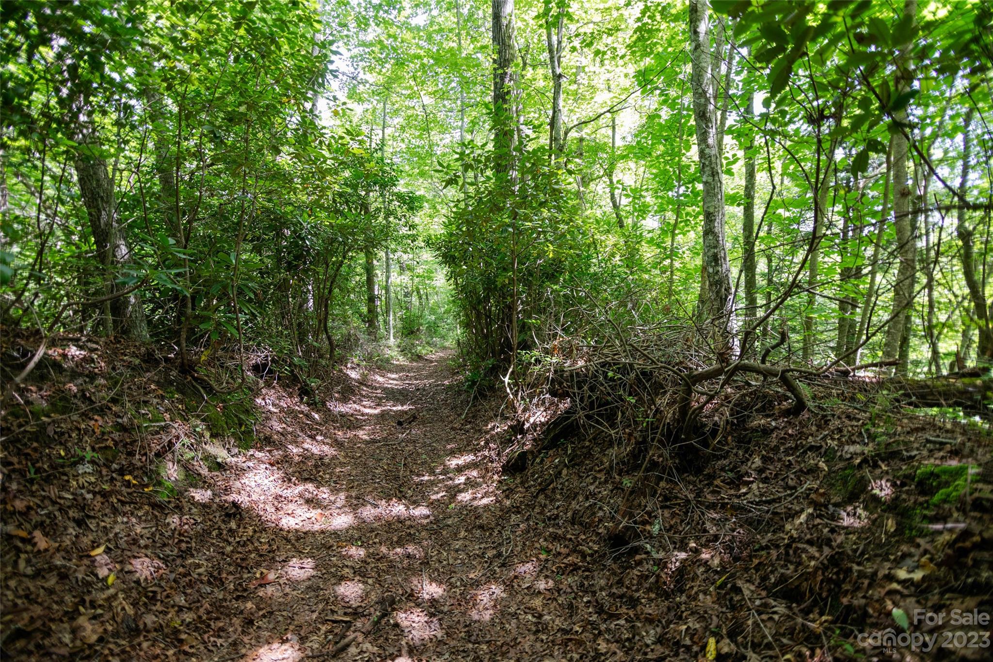TBD Nancy Mountain Road