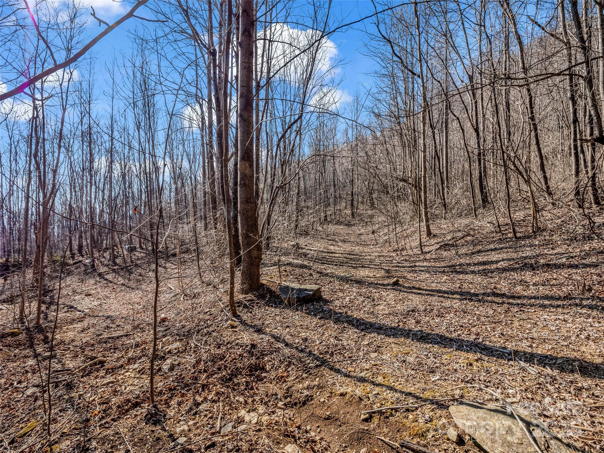 203 Cherry Hill Lane