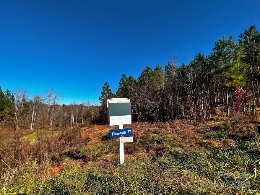 Incredible opportunity to build your DREAM home just 2 miles from downtown Davidson with low Iredell County taxes in brand-new custom home community, Davidson Pond! Spacious, partially wooded homesite with quick access to fabulous boutiques, gourmet restaurants, Village Green Park, and a great location for your luxury custom home to be built by repeat "Best of the Lake" winners, AR Homes - Monterey Bay Charlotte. Choose from a wide variety of fully customizable plans, including ranch and 2-story options, or partner with experienced local teams to design and build your one-of-a-kind AR Home, complete with high-end finishes throughout. Call to schedule your personalized design consultation today.