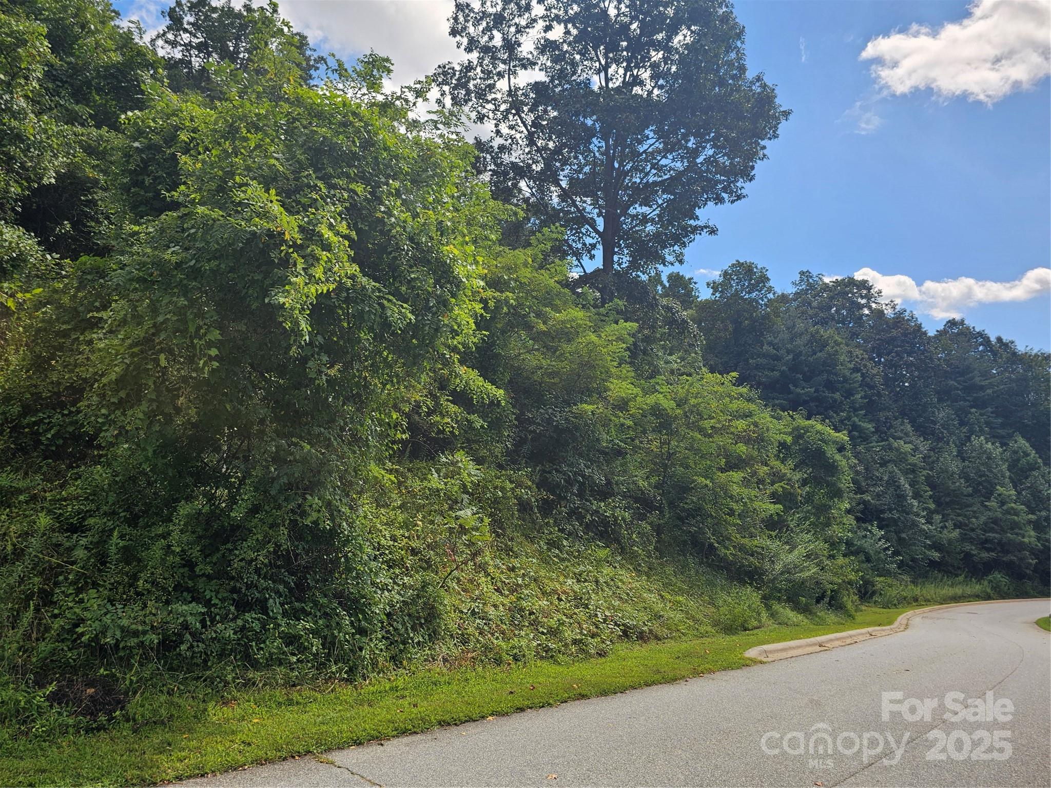 Crest Mountain - Land