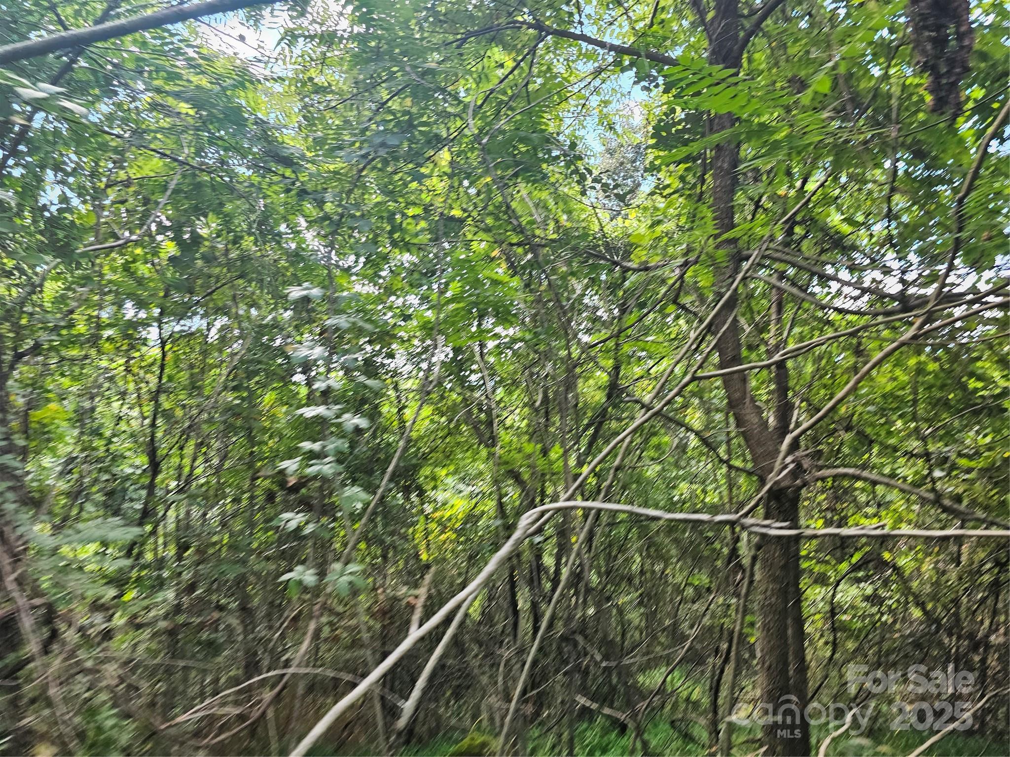 Crest Mountain - Land