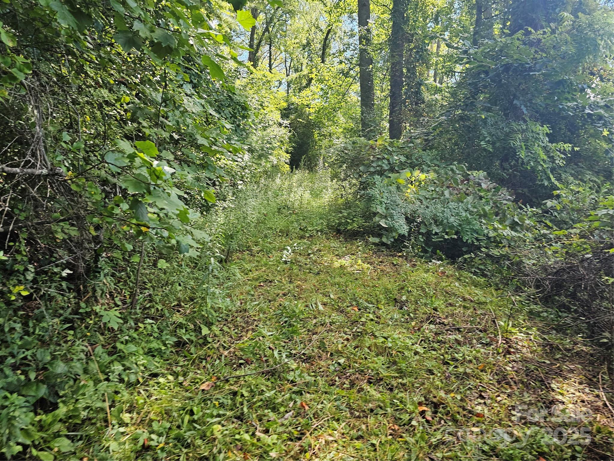 97 Destination Drive