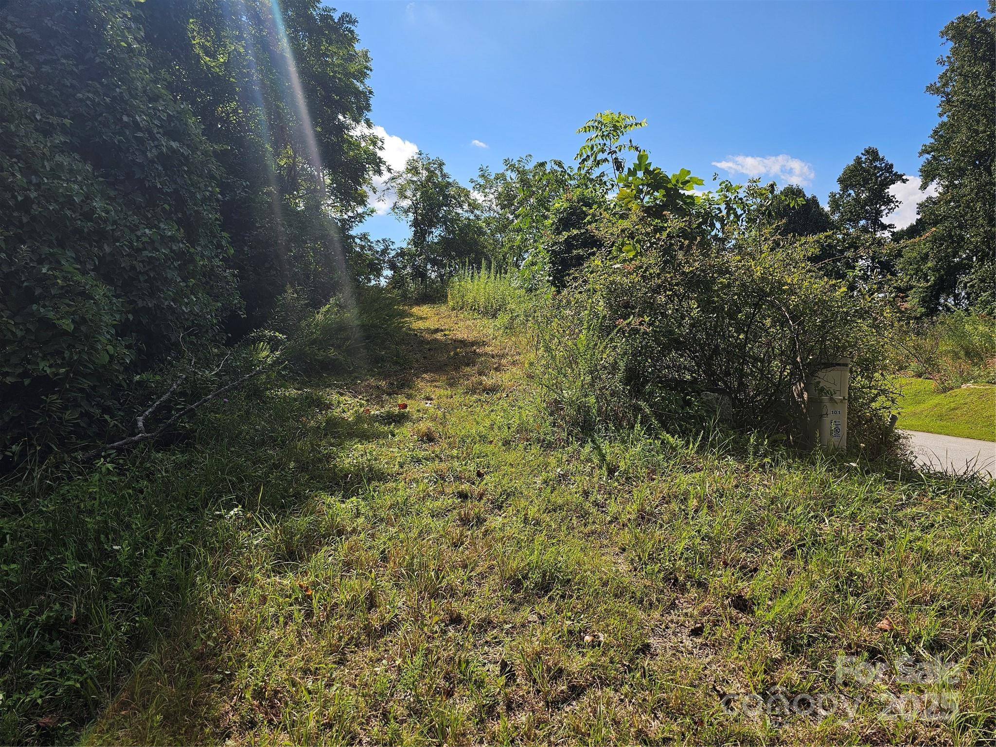 Crest Mountain - Land