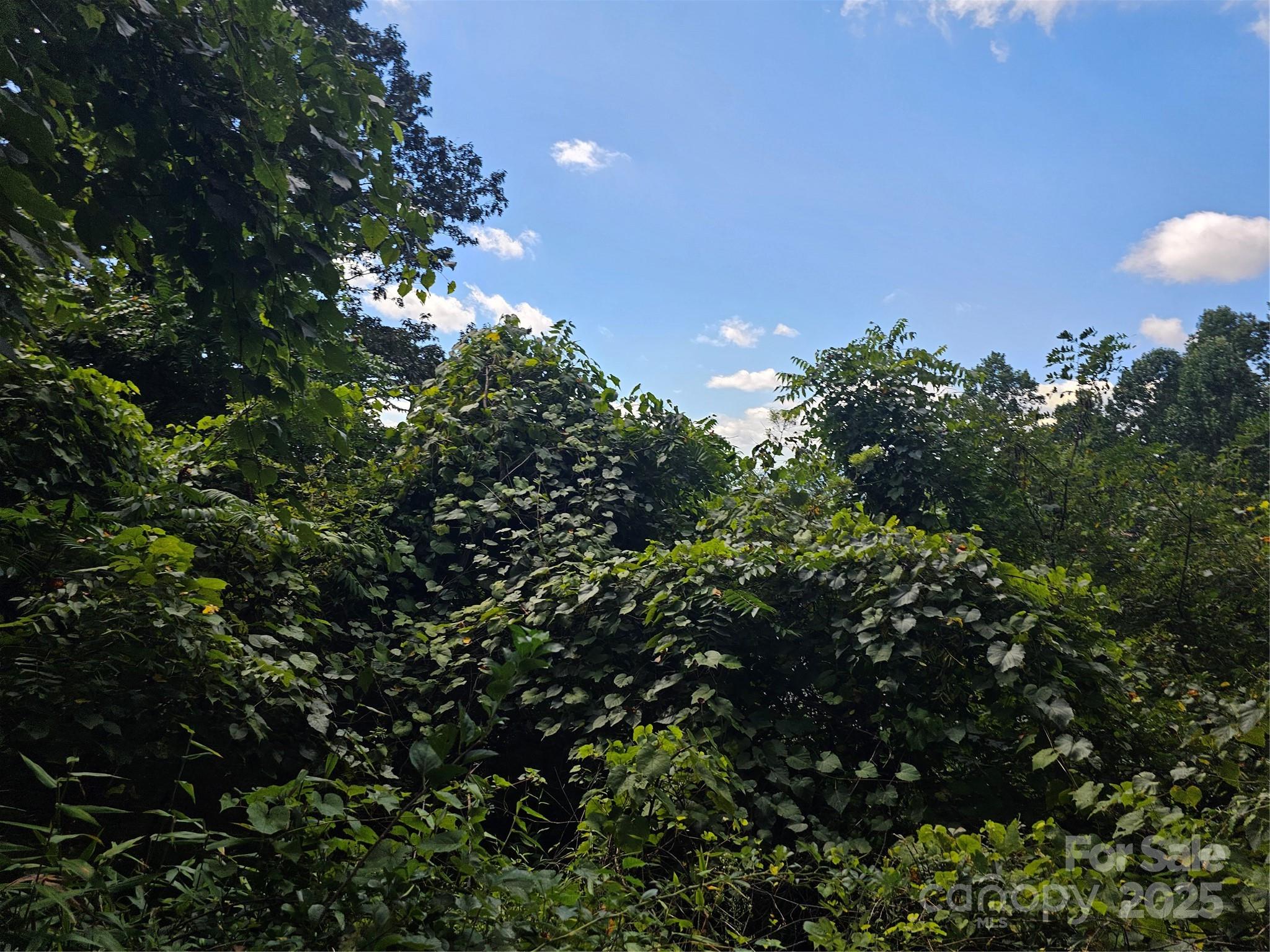 Crest Mountain - Land