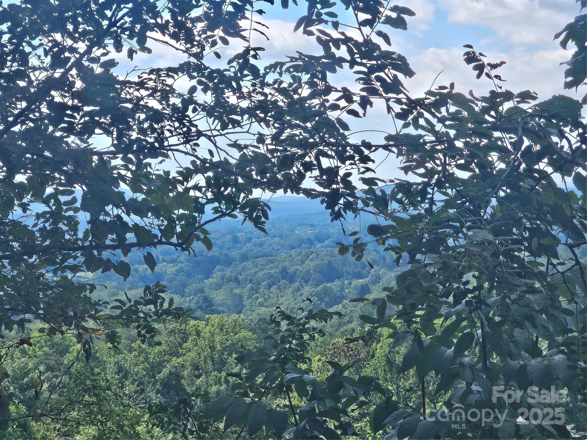 Crest Mountain - Land